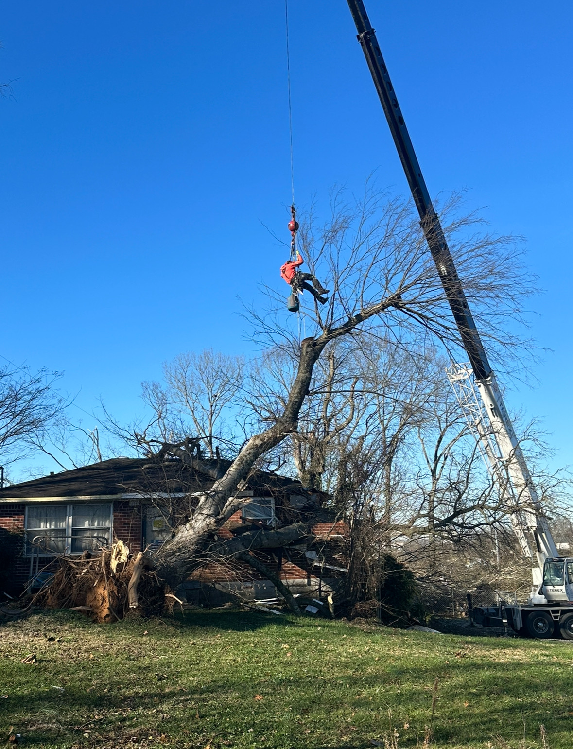 Storm-damaged tree on a house being removed by crane and a climbing arborist