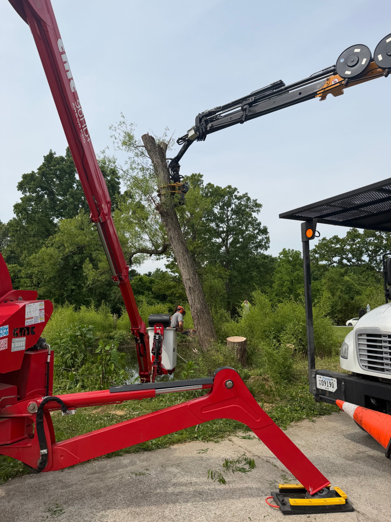 Tree Giants red CMC 90HD+ spider lift staged at a Middle Tennessee removal job